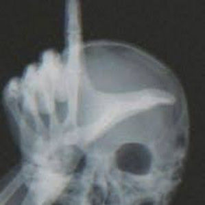 Meet your Posher, Isabella